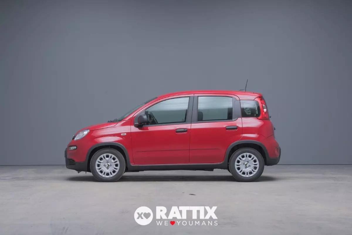 Fiat Panda 1.0 Firefly Hybrid 70CV 5p.ti ADAS + Pack City