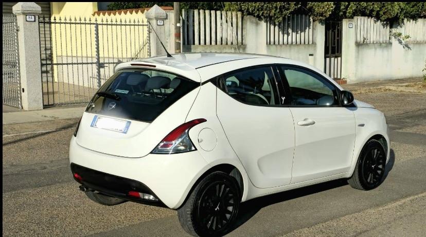 Lancia Ypsilon 1.3 MJT 16V 95 CV 5 porte S&S Elefantino
