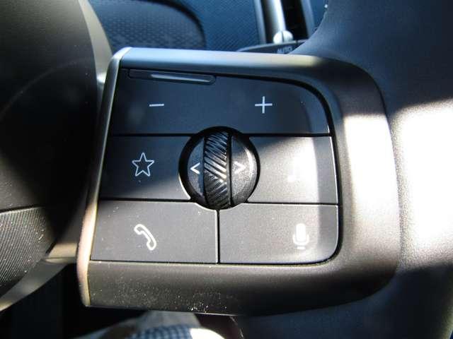 MINI Countryman C 1.5 48V FAVOURED,TETTO,LED,HUD,PELLE,PACCHETTO M