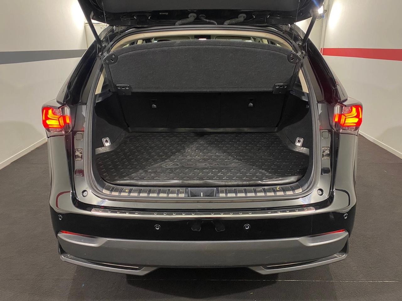 Lexus NX 300h NX Hybrid 4WD Luxury