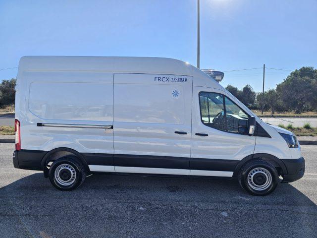 FORD Transit 350 2.0TDCi EcoBlue 170CV L3H3 FRIGO RIVACOLD -20°