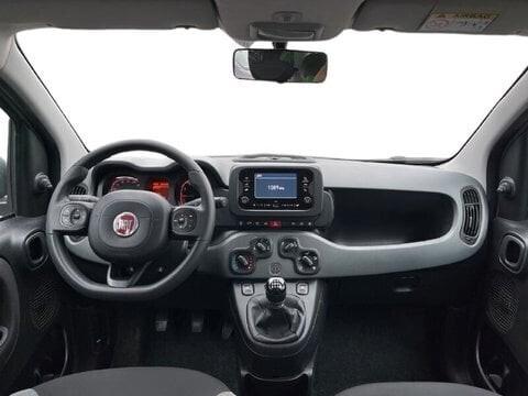 Fiat Panda Hybrid FireFly1.0 S&S 70cv