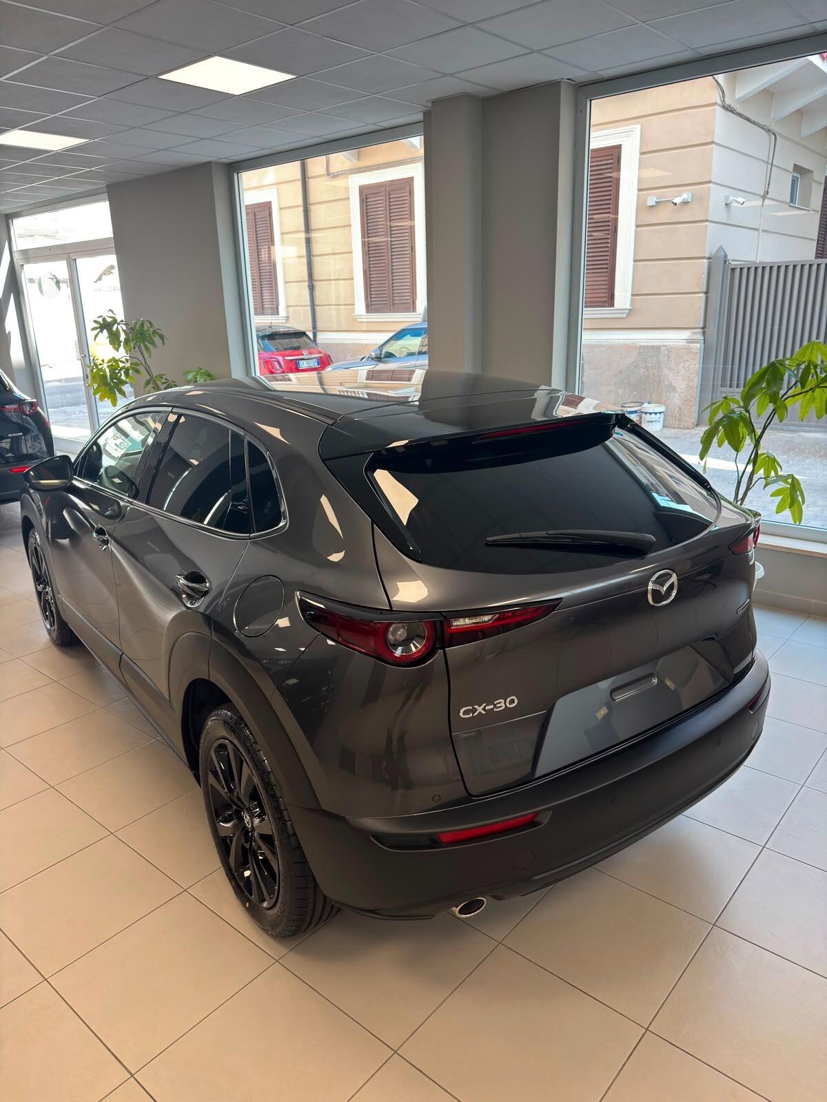 Mazda CX-30 e-Skyactiv-G M Hybrid 2WD Nagisa