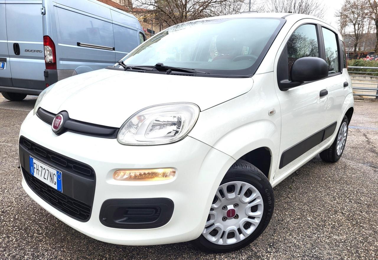 FIAT PANDA 1200-UNICA PROPRIET-FOTO 3 REVISIONI