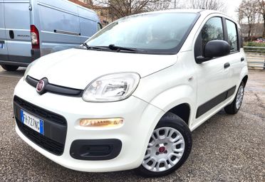 FIAT PANDA 1200-UNICA PROPRIET-FOTO 3 REVISIONI