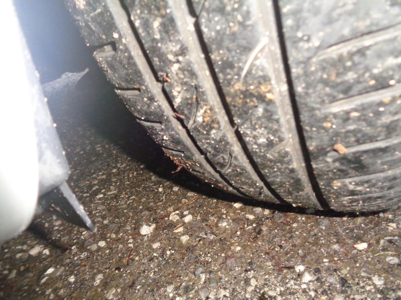 Fiat Punto Evo 1.2 5 porte S&S Dynamic