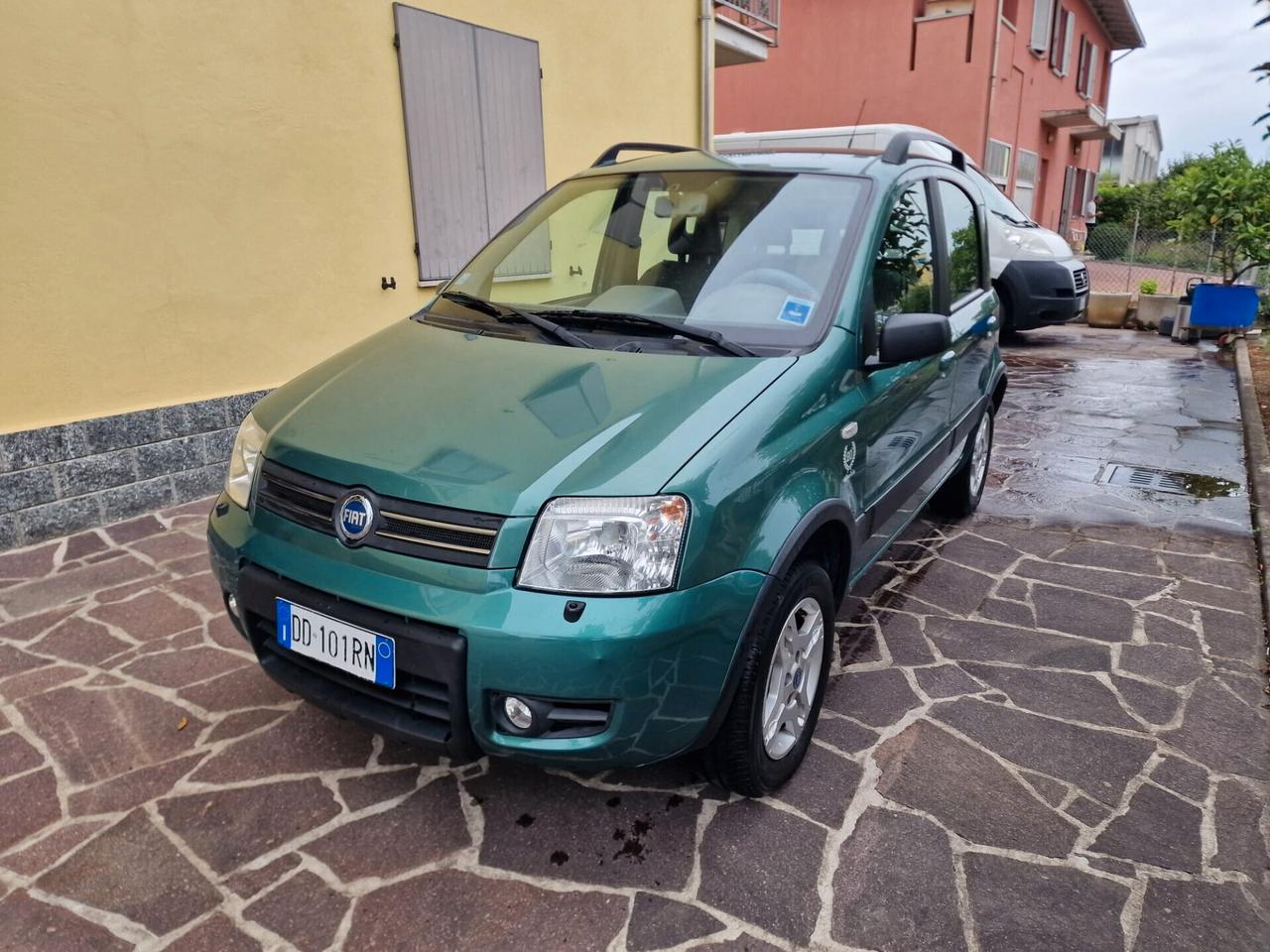 Fiat Panda 1.2 4X4, Metano, neopatentati
