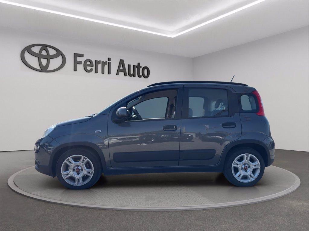 FIAT Panda 1.0 firefly hybrid city life s&s 70cv del 2023
