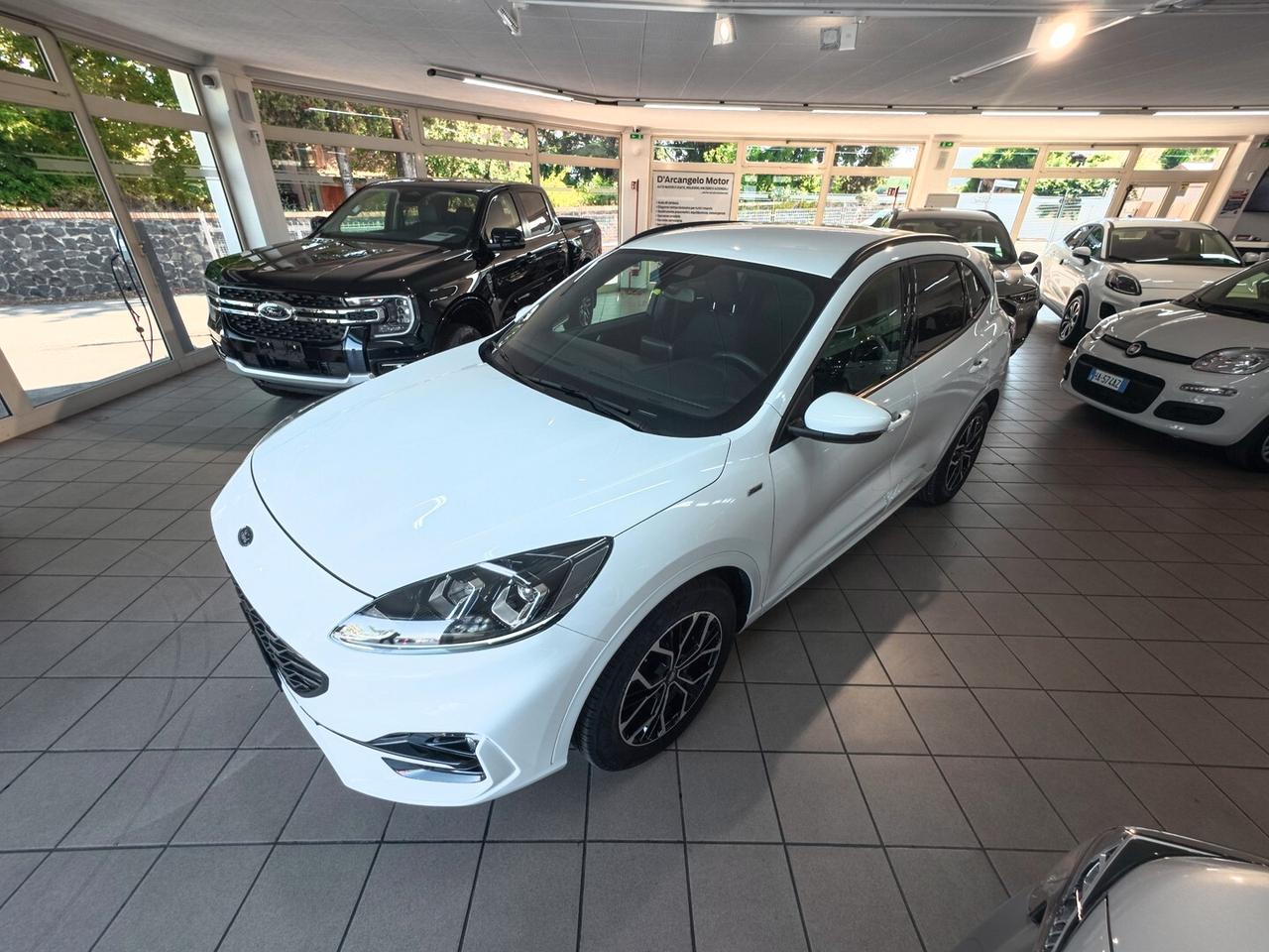 Ford Kuga 1.5 EcoBlue 120 CV 2WD ST-Line