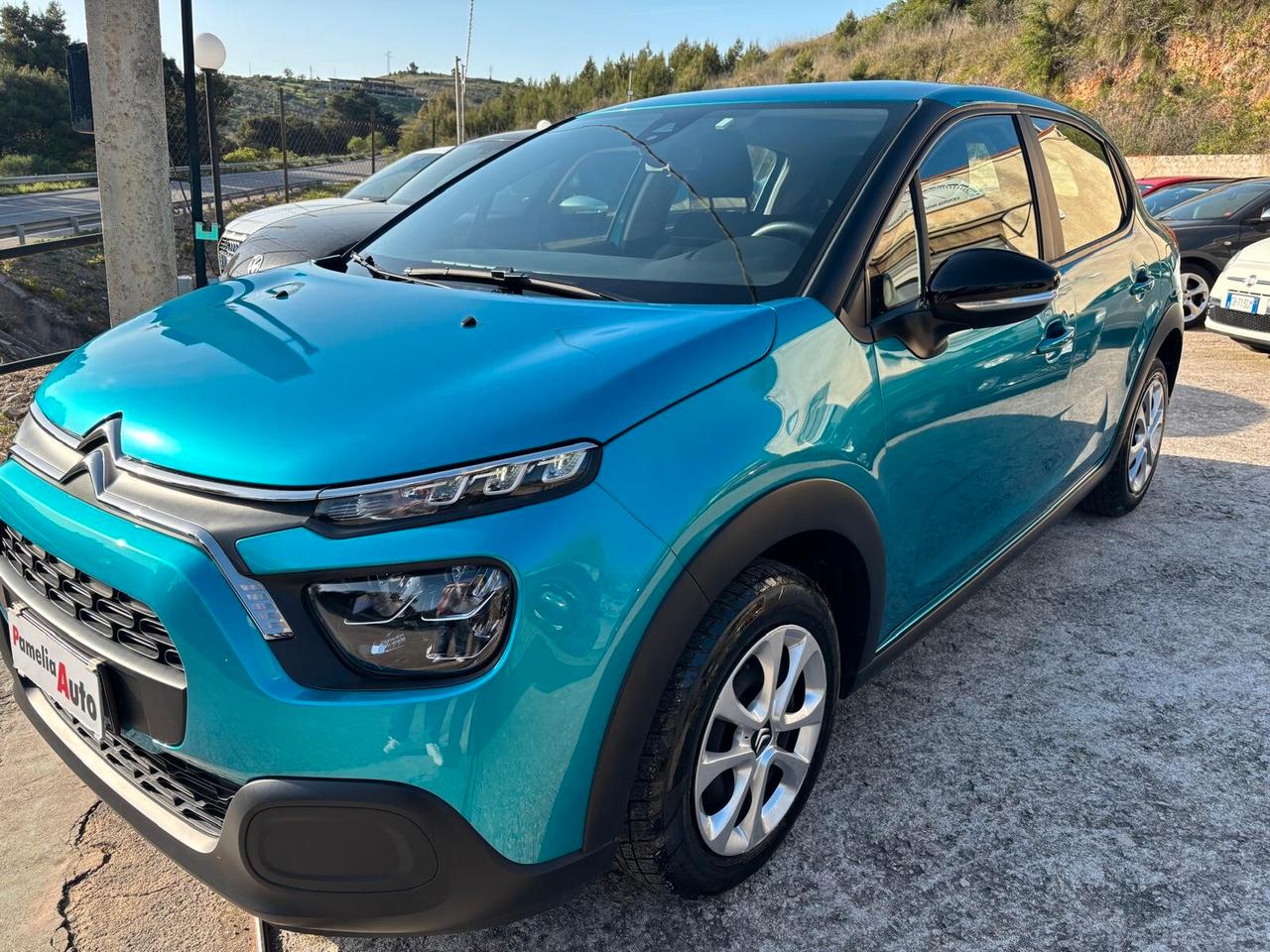 Citroen C3 BlueHDi 100cv N1 4 Posti - 2022