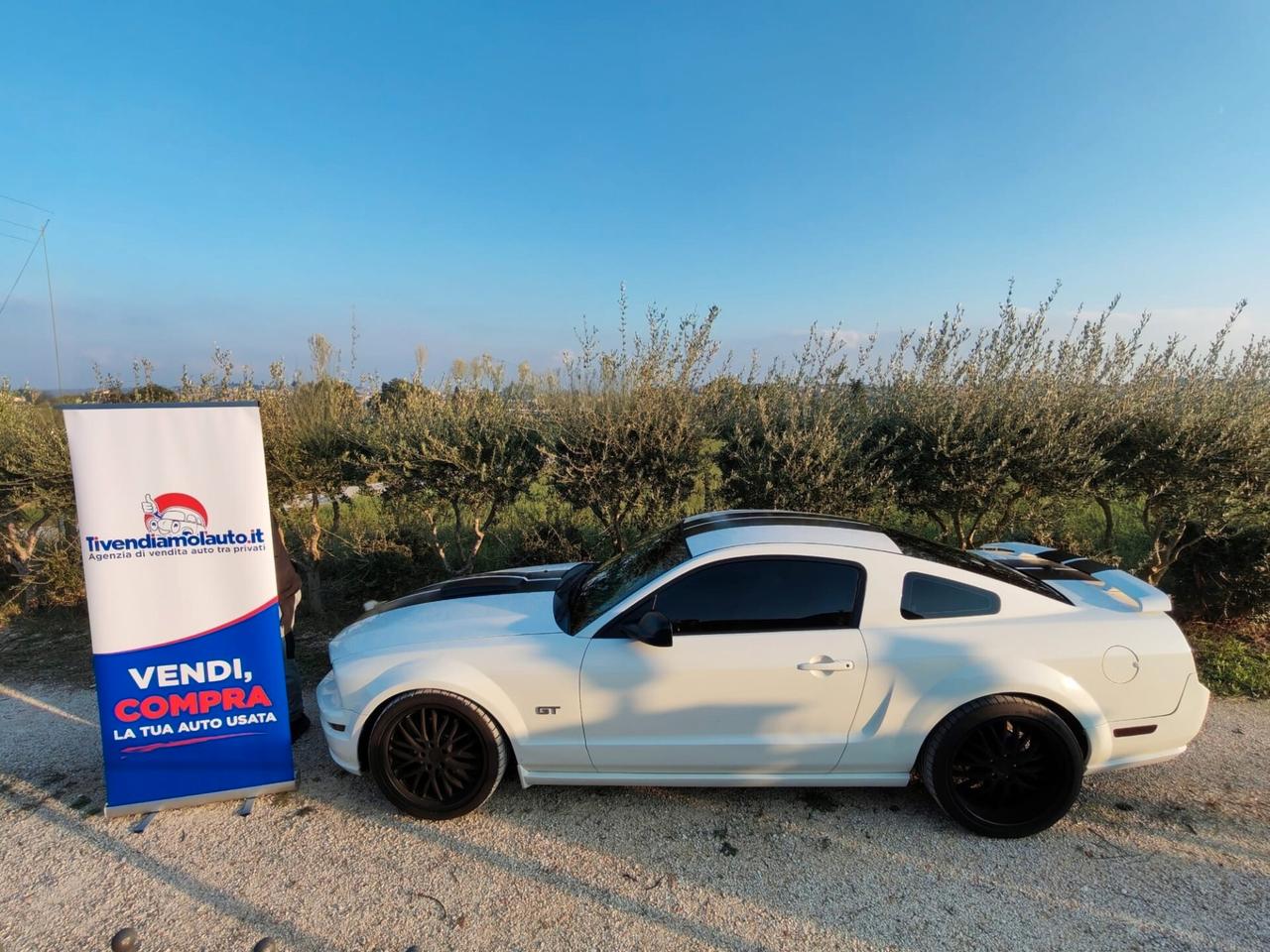 Mustang Ford GT 350 Shelby