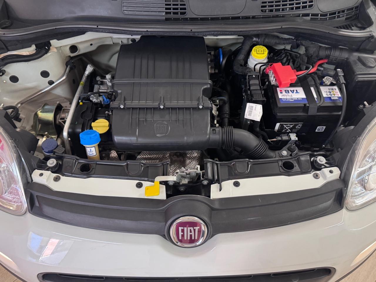 Fiat Panda 1.2 Easy-PREZZO SENZA VINCOLI-GARANTITA-PERMUTE