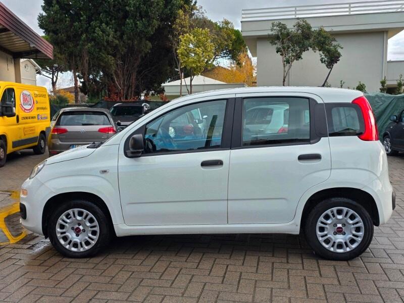 FIAT Panda 3ª serie Panda 1.2 Easy