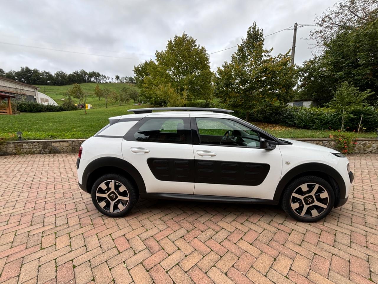 Citroen C4 Cactus BlueHDi 100 Feel