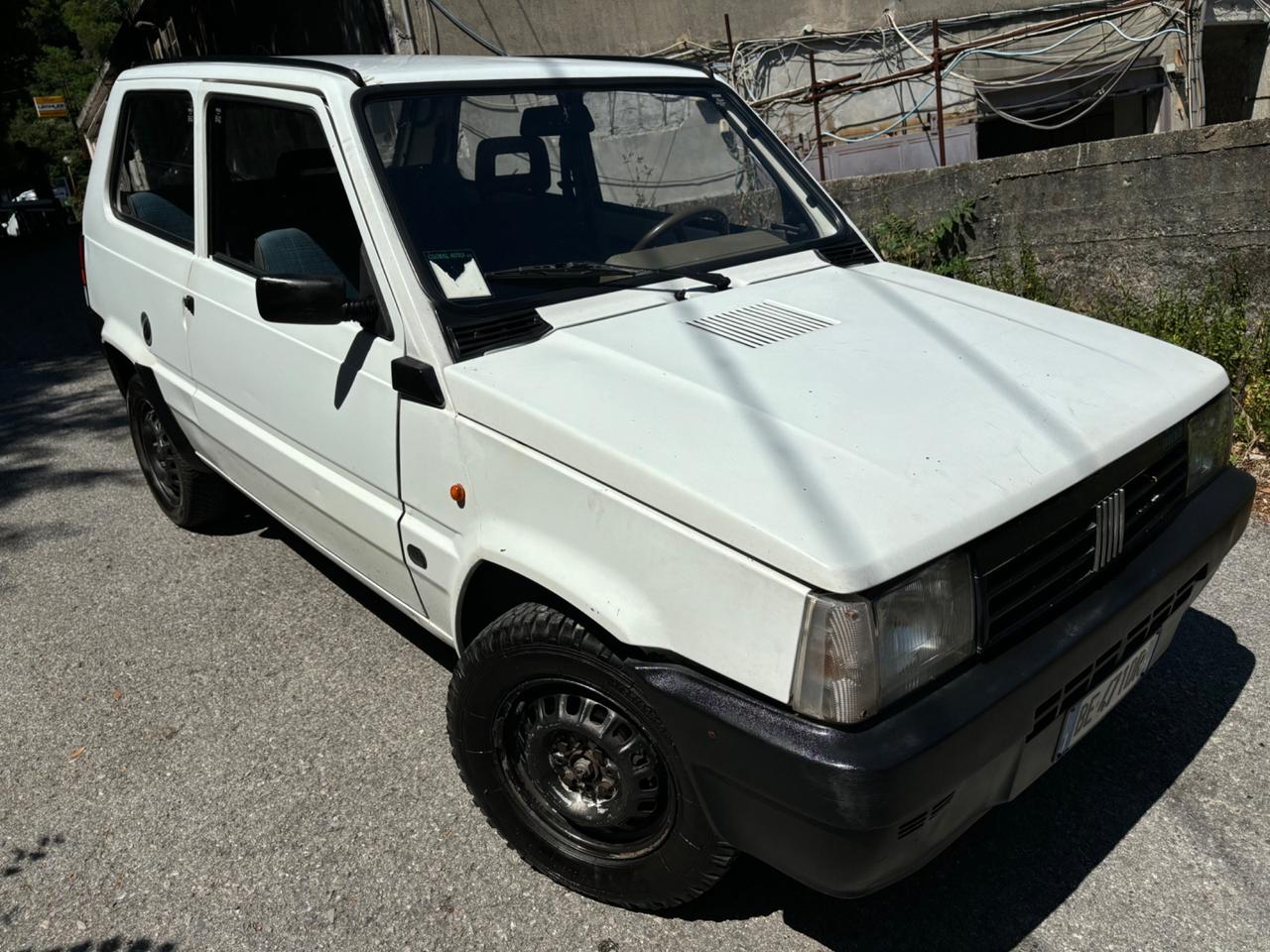 Fiat Panda 900 i.e. cat Young