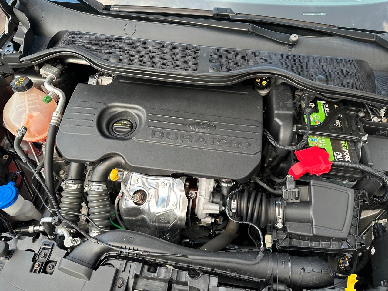 Ford Fiesta 1.5 TDCI 85 cv. 5 porte PLUS