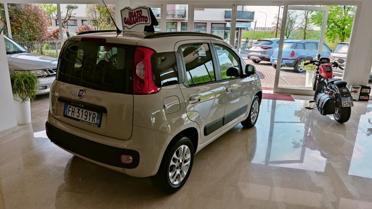 Fiat Panda 1.2 Lounge OK NEO PATENTATI 77.800 KM