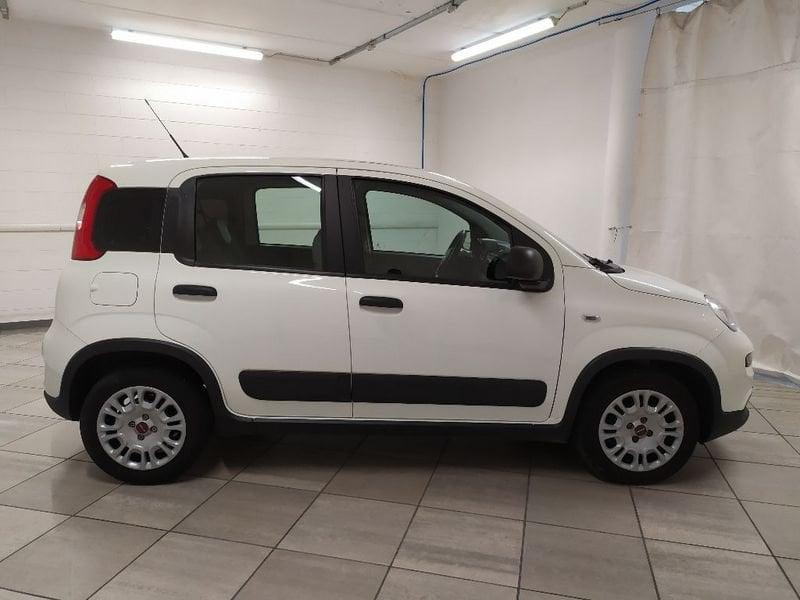 FIAT Panda van 1.0 hybrid Street 70cv 4p.ti serie 4 E6d