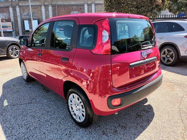 FIAT Panda 1000 HYBRID 70 CV PDC ITALIA