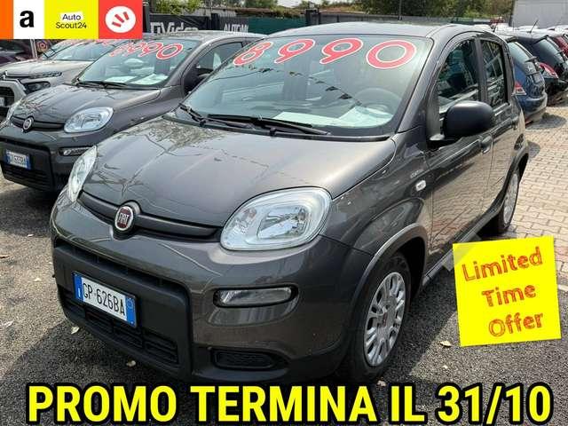 Fiat Panda Panda 1.0 firefly hybrid DISPONIBILI VARI COLORI