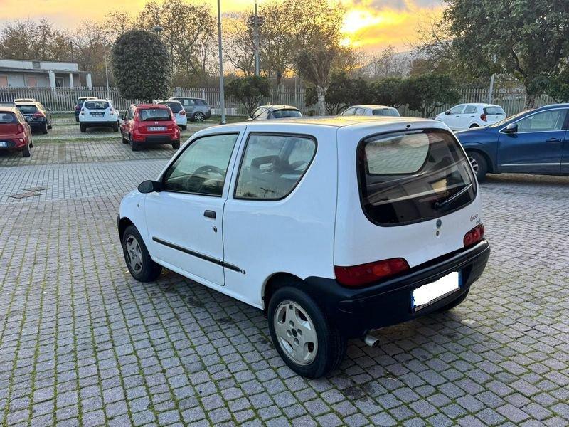 FIAT Seicento 900i cat Young