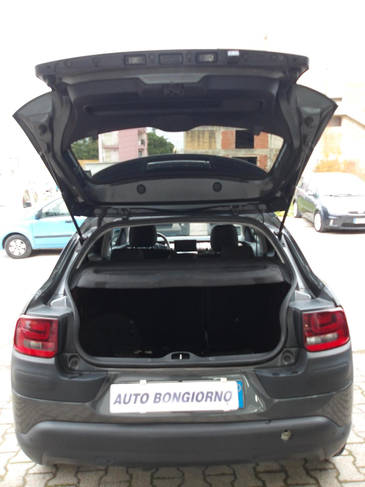 Citroen C4 Cactus 1.6 bluehdi Shine 100cv