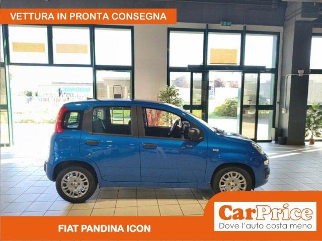 FIAT Pandina 1.0 FireFly 65CV Hybrid Icon