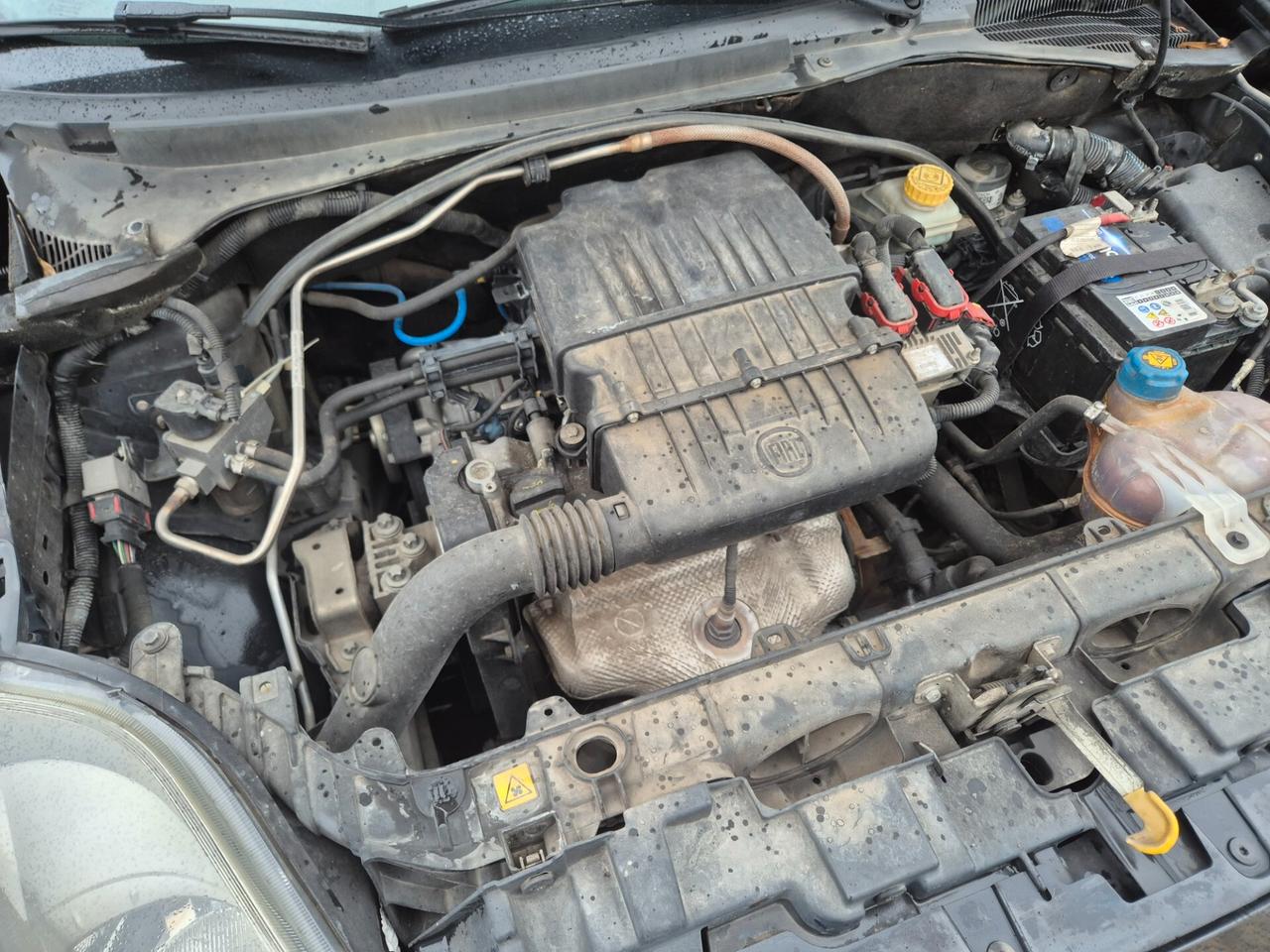 Fiat Punto Evo 1.4 5 porte Dynamic Natural Power