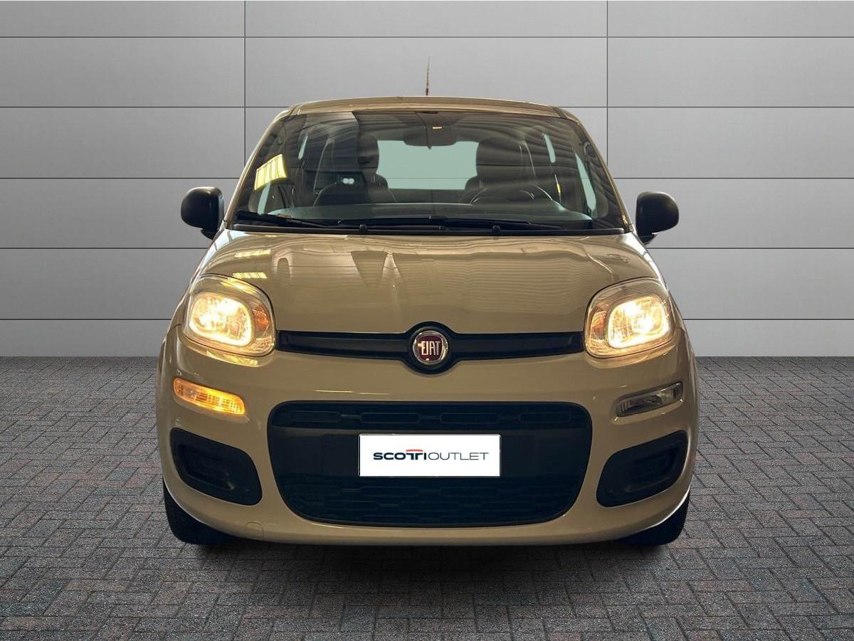 FIAT Panda 3ª serie - Panda 1.2 Pandazzurri