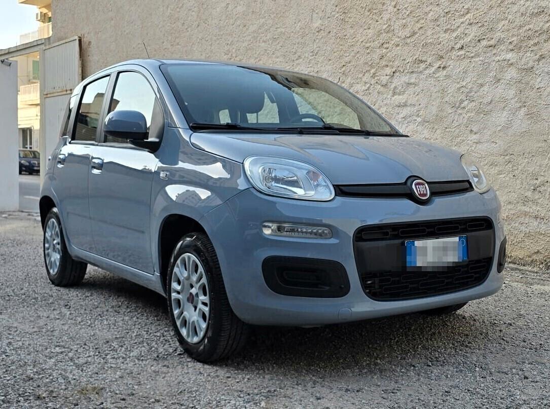 Fiat PANDA Easy 1.2 70CV