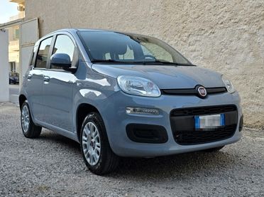 Fiat PANDA Easy 1.2 70CV
