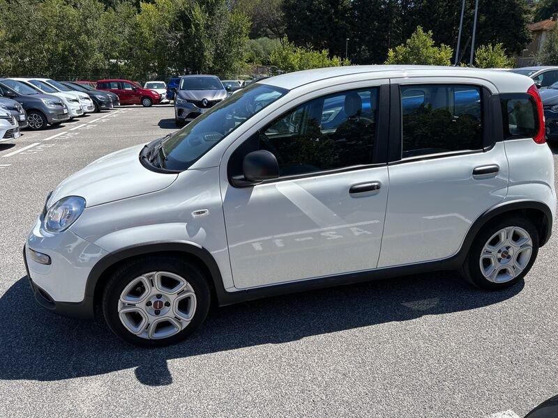 FIAT Panda New My23 1.0 70cv Hybrid Panda