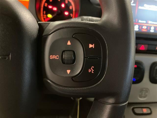 FIAT Panda Cross 1.0 FireFly Hybrid 70cv S&S 5p.ti