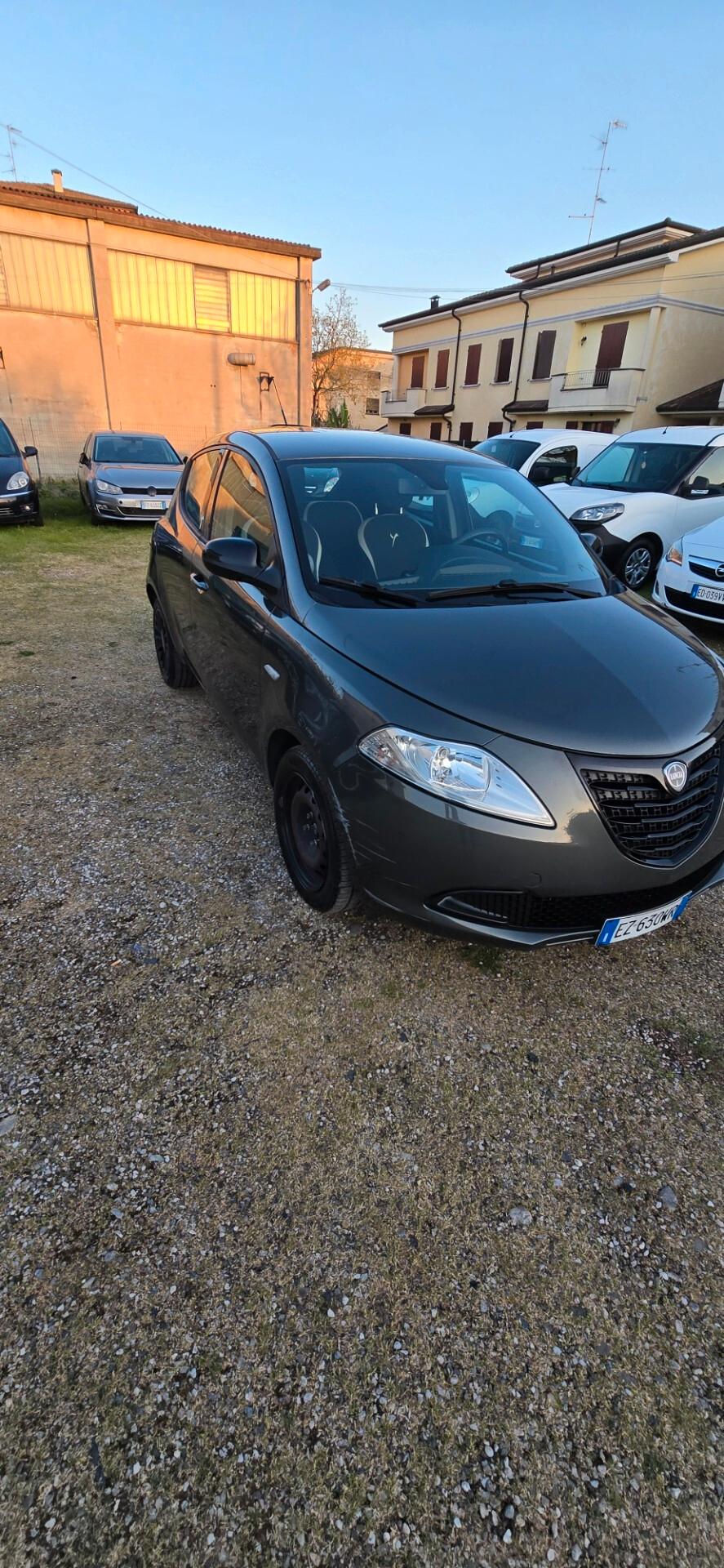 Lancia Ypsilon 1.3 MJT 16V 95 CV 5 porte S&S Elefantino