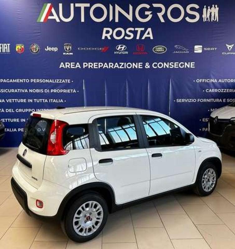 FIAT Panda 1.0 hybrid s&s 70CV NUOVA DA IMMATRICOLARE