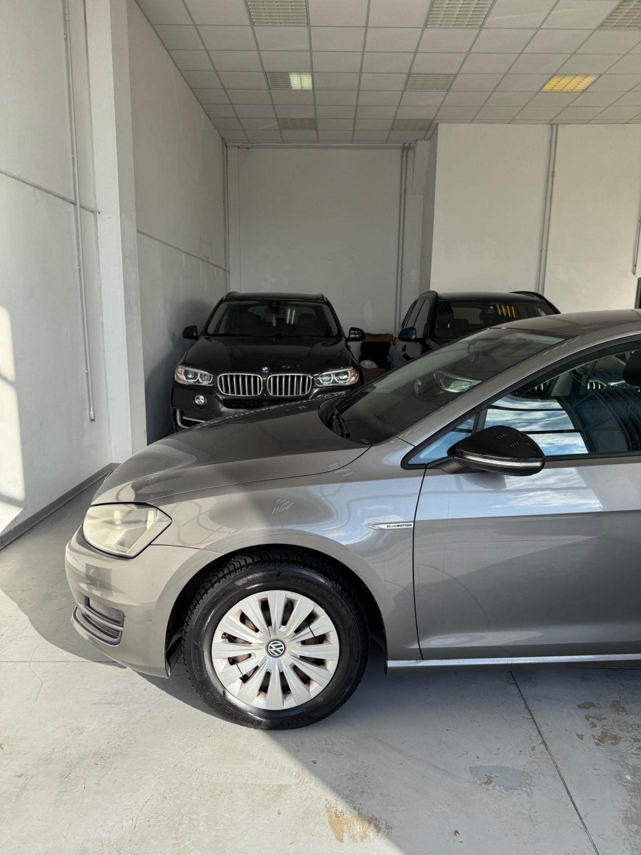 Volkswagen Golf 1.4 TGI 5p. Highline BlueMotion