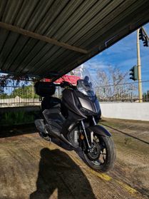 Wottan Motor Storm-R 300