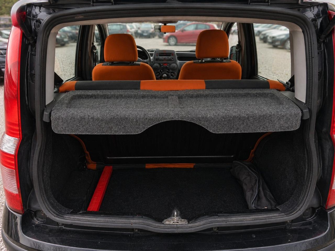 Fiat Panda 1.2 Climbing Natural Power