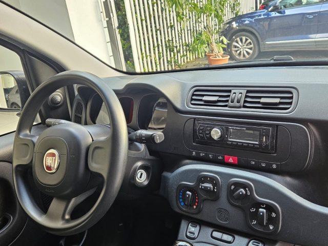 FIAT Panda 1.0 FireFly S&S Hybrid da ?119,00 mensili