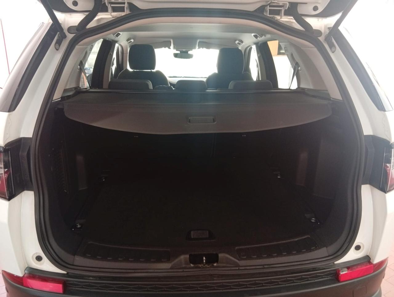 LAND ROVER DISCOVERY SPORT 2.0D AWD 2020 IDEALE PER NEOPATENTATI