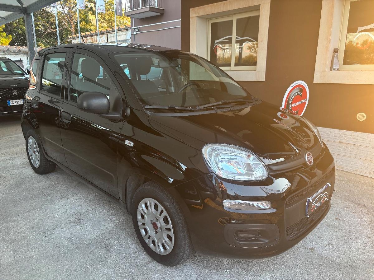FIAT - Panda - 1.2 Easy