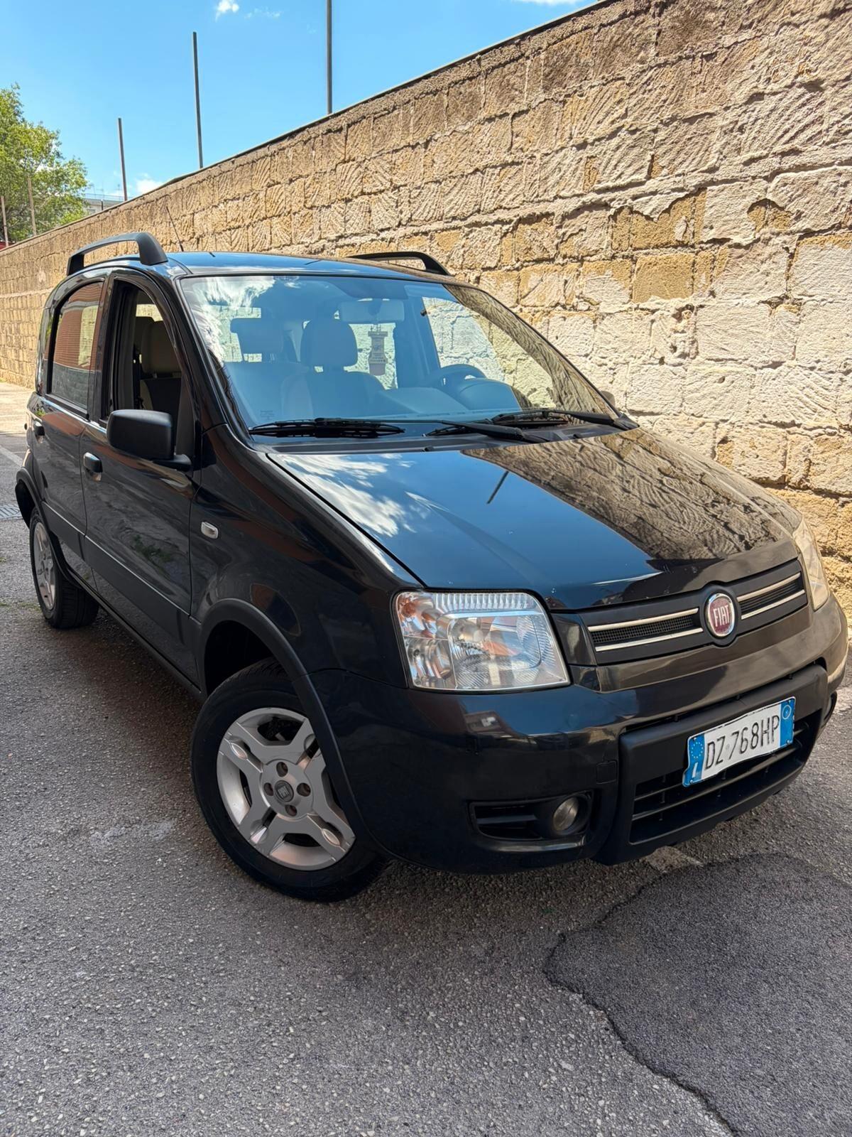 Fiat Panda 1.2 Climbing Natural Power