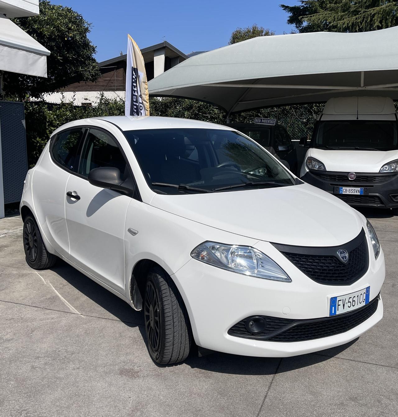 Lancia Ypsilon 1.2 5 porte Elefantino