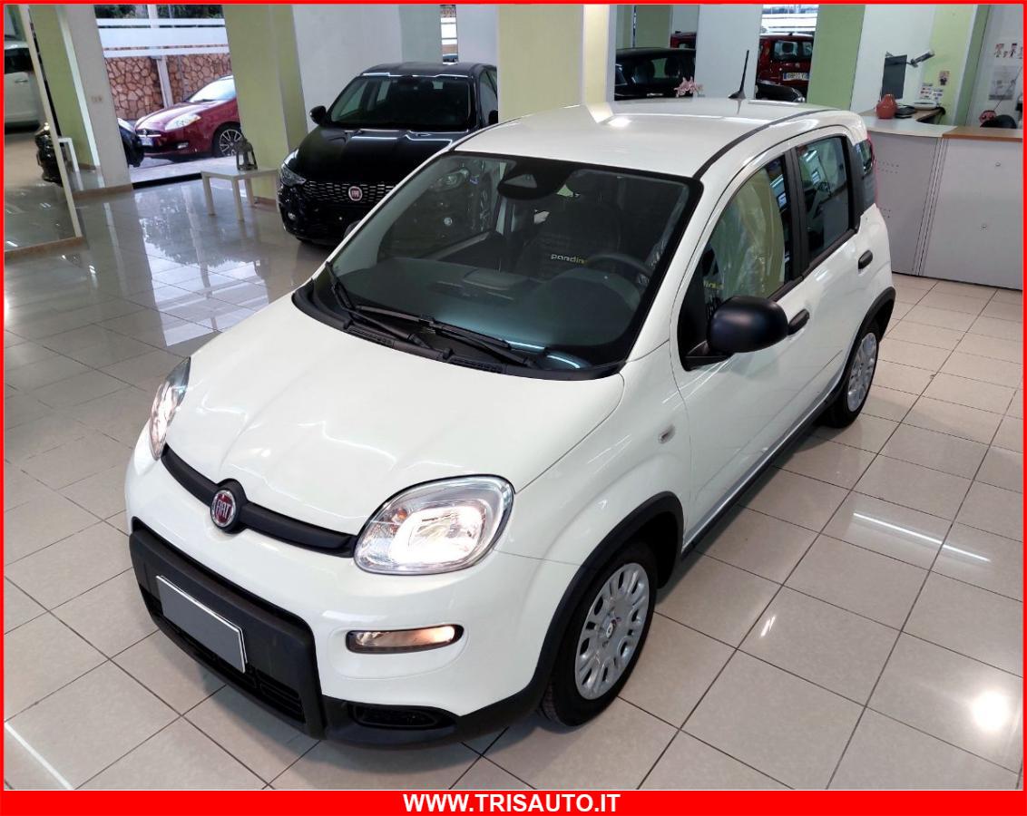 FIAT Panda 1.0 FireFly S&S Hybrid MY24 KM ZERO!!! IVATA NEOPATENTATI