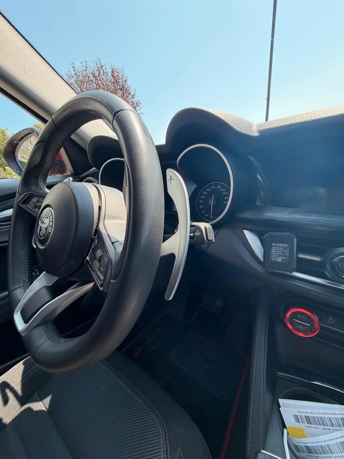 Alfa Romeo Stelvio 2.2 Turbodiesel 190 CV AT8 RWD Sprint
