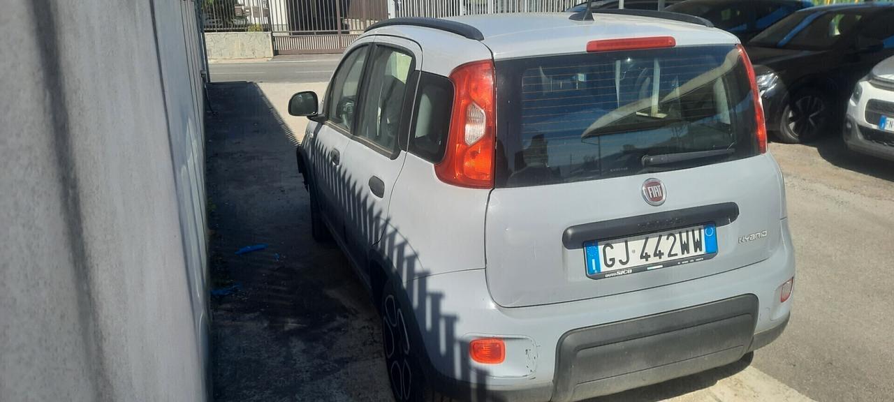 Fiat Panda cc10 ibrida benzina anno 2022