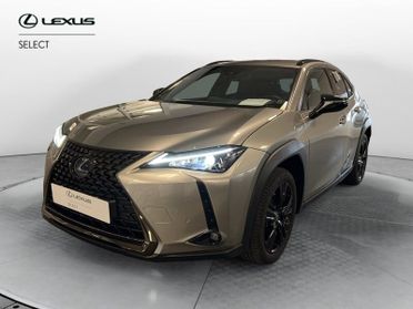 Lexus UX Hybrid 4WD Midnight