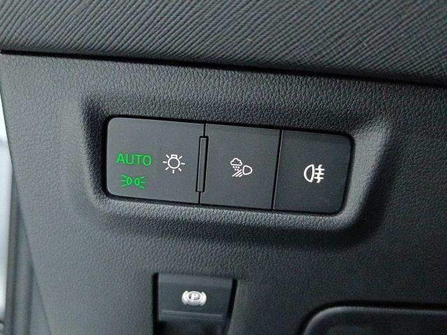 SKODA Kodiaq 2.0 TDI DSG 7 posti Executive