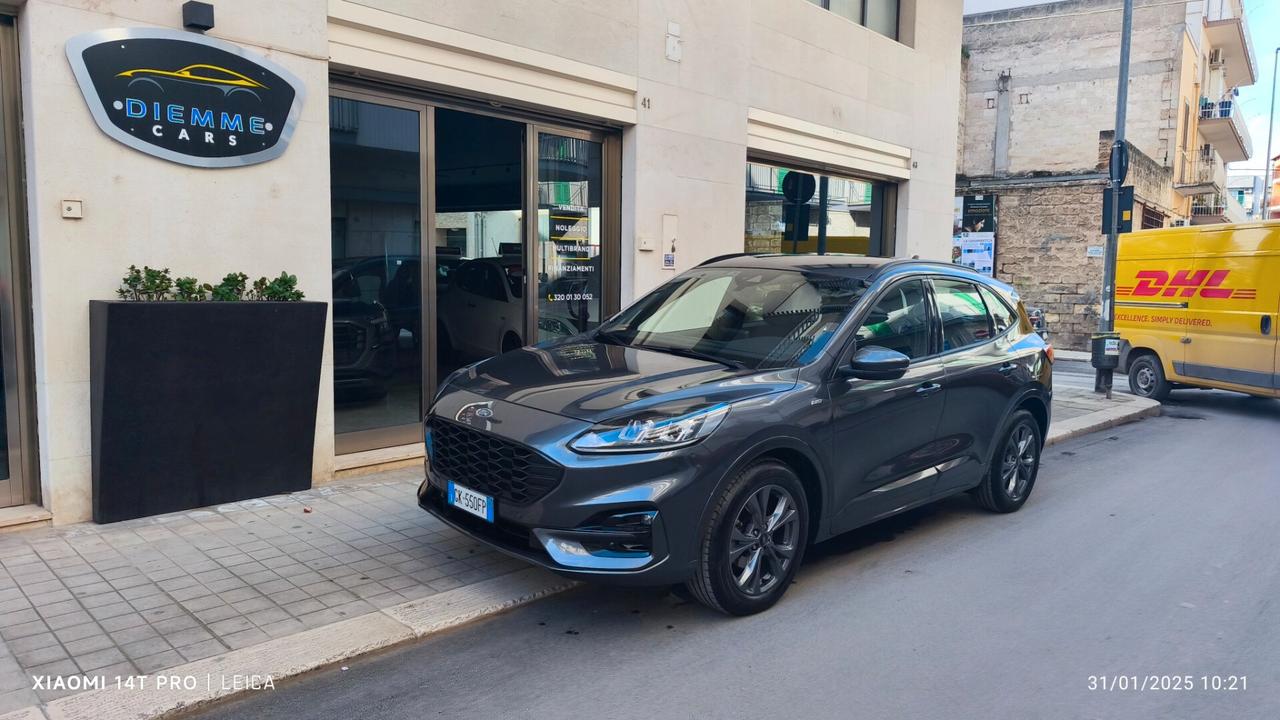 Ford Kuga 1.5 EcoBlue 120 CV aut. 2WD ST-Line 2022