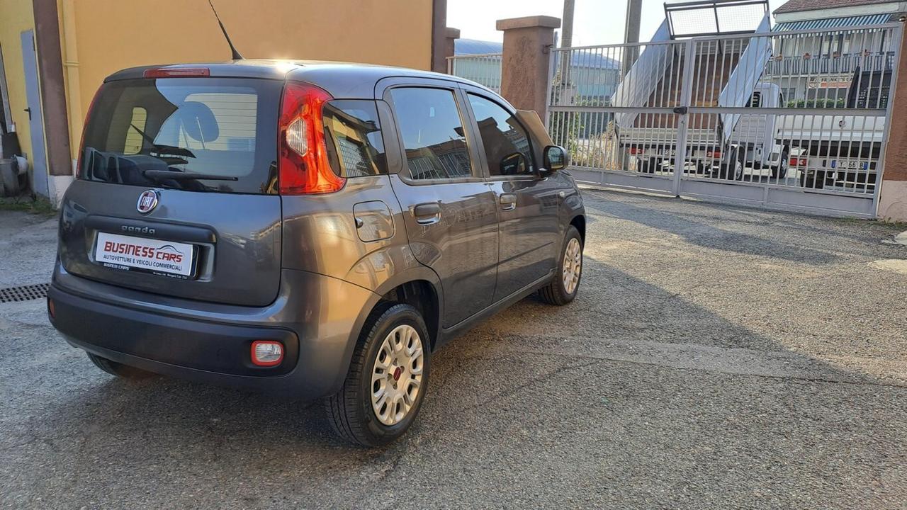 Fiat Panda 1.2 69 CV Easy- KM. 38000 AUTO PER NEOPATENTATI